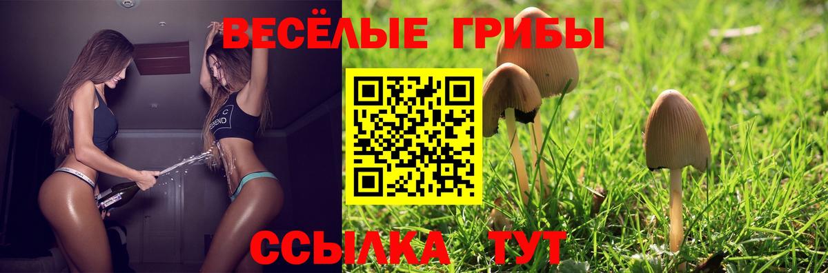 Псилоцибиновые грибы Magic Shrooms  Вход с VPN  Йошкар-Ола 